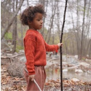 SOLOSIX Alpaca Mini Sam Crew Sweater Rust